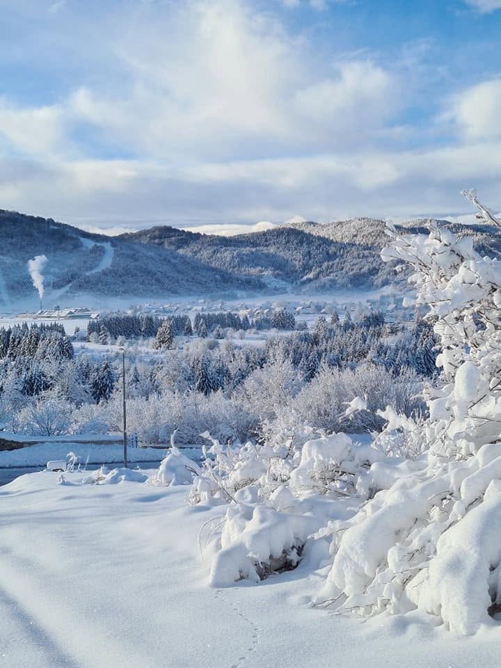 Gorski Kotar forest surroundings