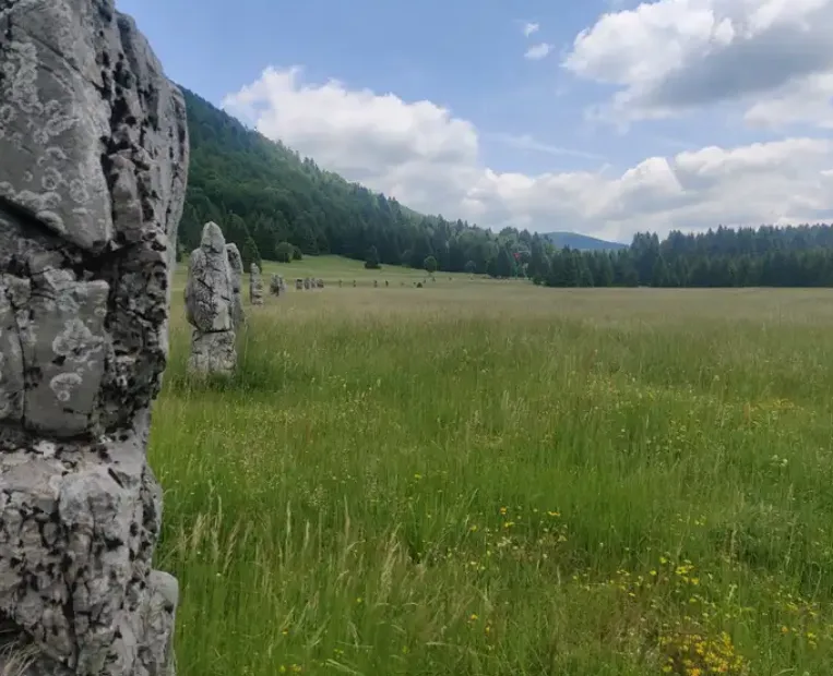 Matić Poljana mountain meadow near Mrkopalj
